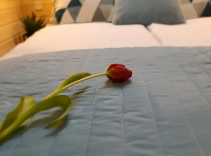 Ekosfera Pilawa Z Podgrzewanym Basenem Apartamento *