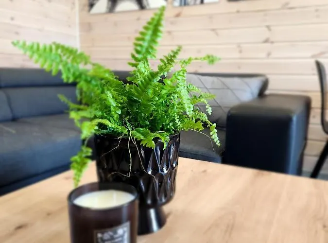 Ekosfera Pilawa Z Podgrzewanym Basenem * Borne Sulinowo